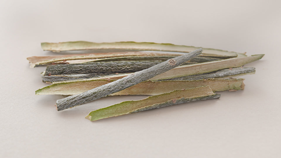 Willow Bark Extract