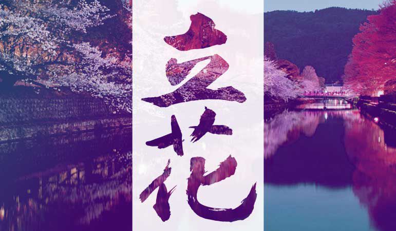 The Meaning of Tatcha