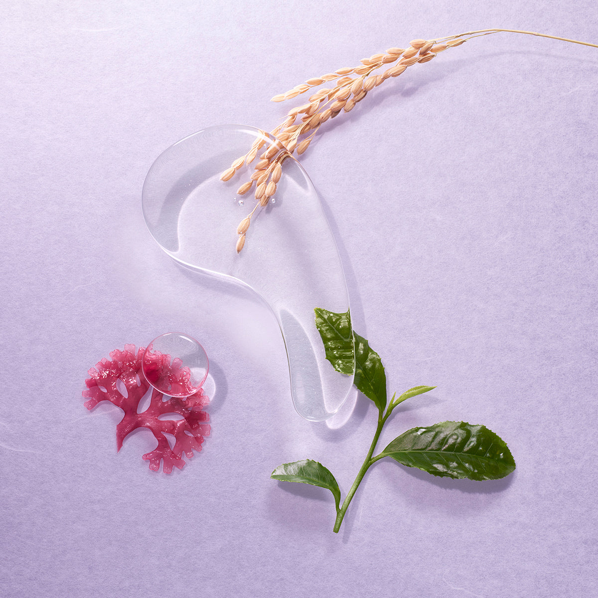 The Essence Key Ingredients