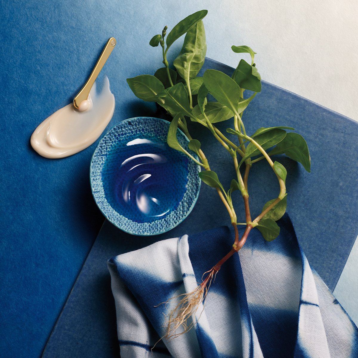 Indigo Overnight Repair Ingredients