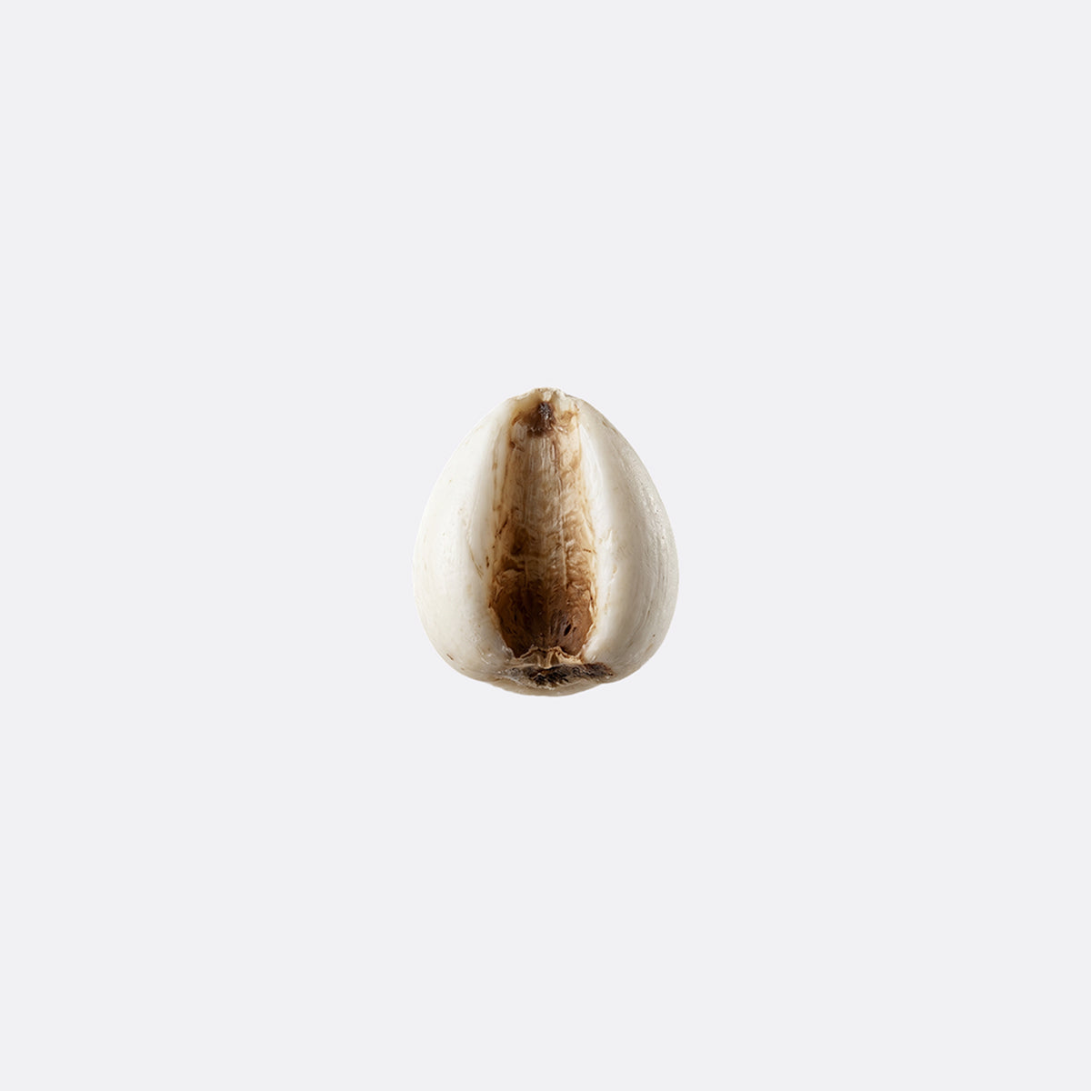 Coix Seed Extract