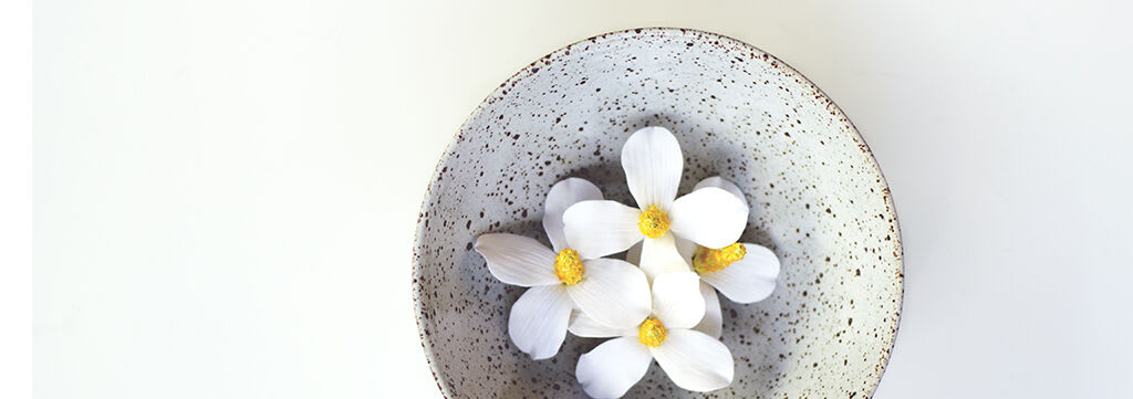 Dokudami: Beauty By the Cupful