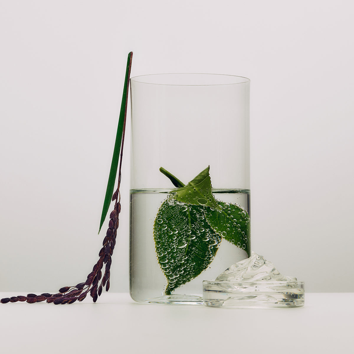 The Dewy Milk Moisturizer: Lightweight Hydration | Tatcha