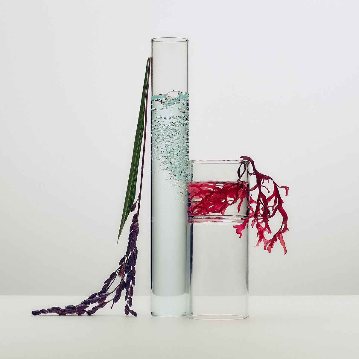 Tatcha Dewy Skin Cream ingredients: hyaluronic acid & red algae, Japanese purple rice, biomimetic squalane