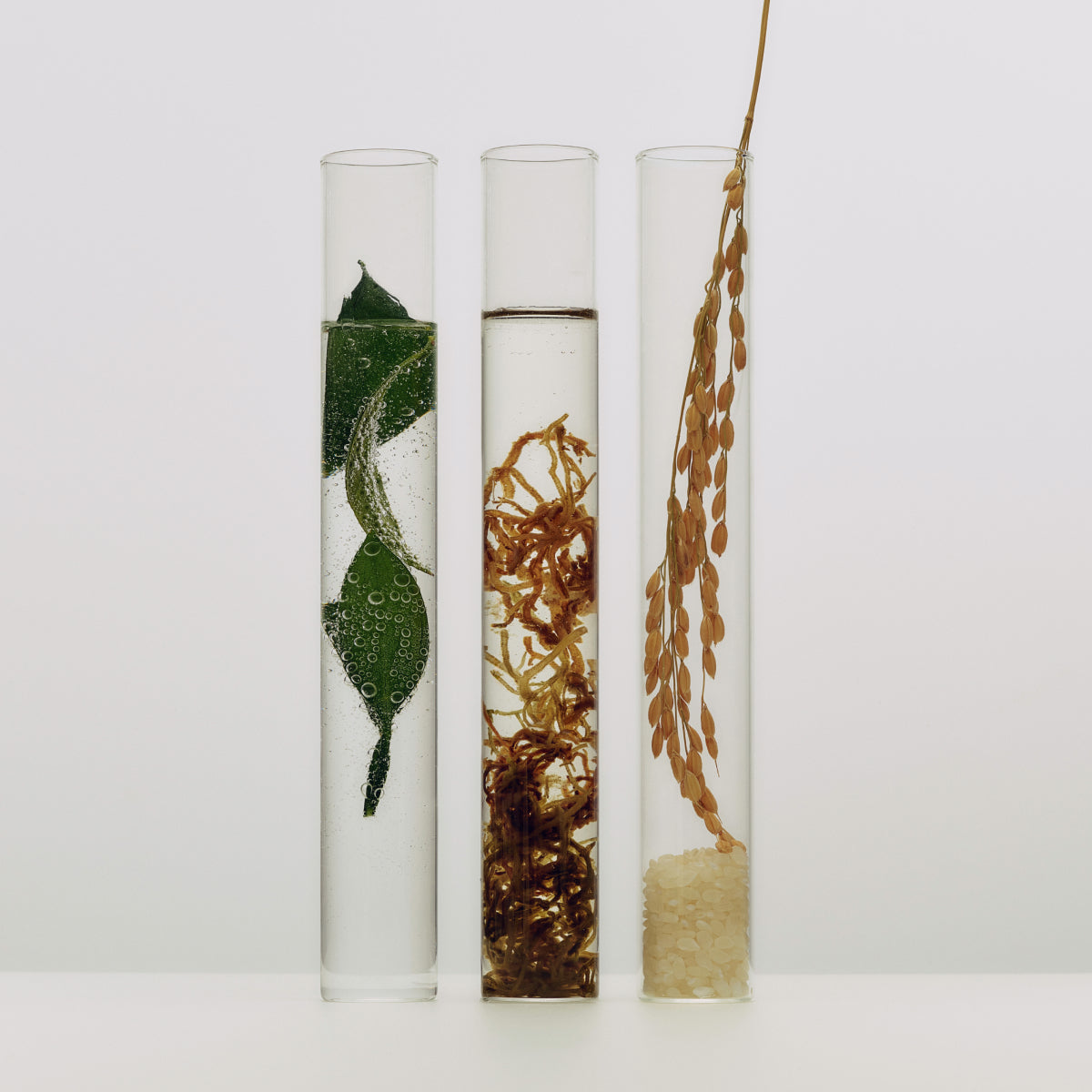 The Essence Ingredient image