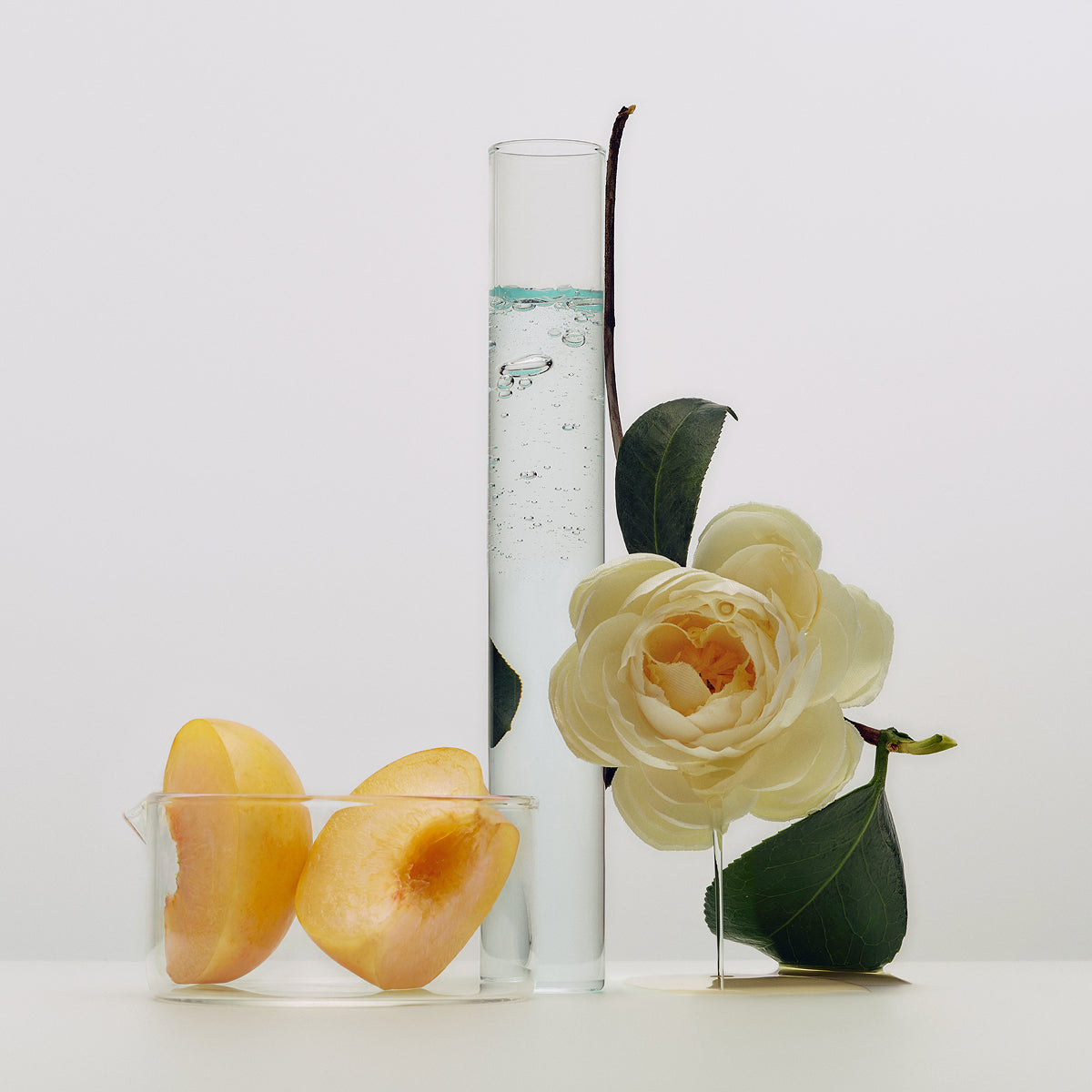 Kissu Lip Mask ingredients: Japanese peach extract, Japanese camellia oil, biomimetic squalane