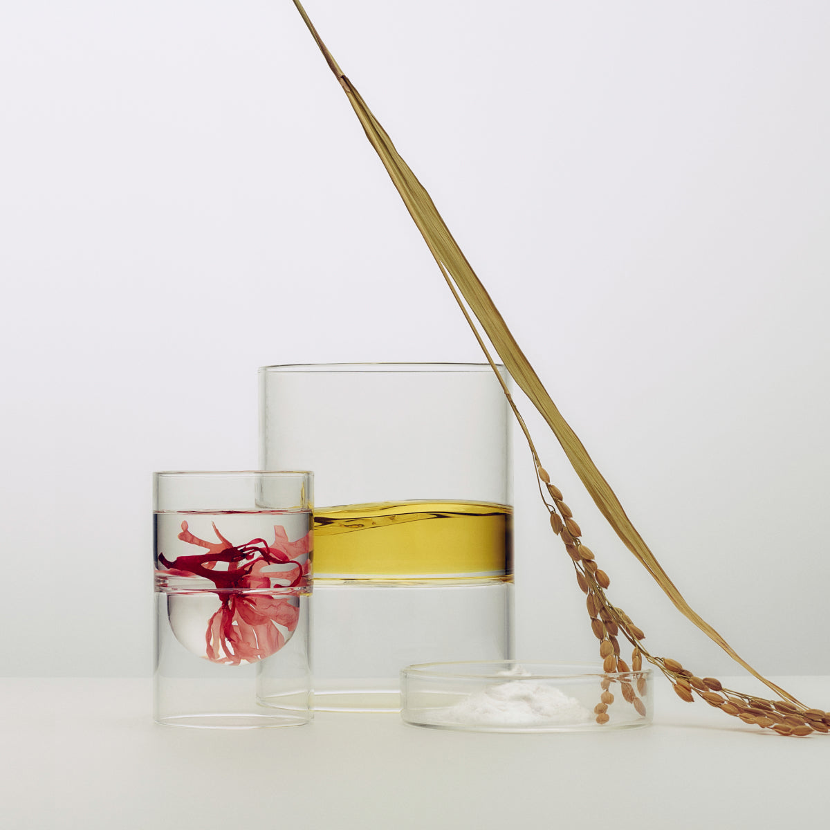 Rice Wash ingredients: hyaluronic acid & red algae, Japanese rice powder, pH-neutral amino acid base