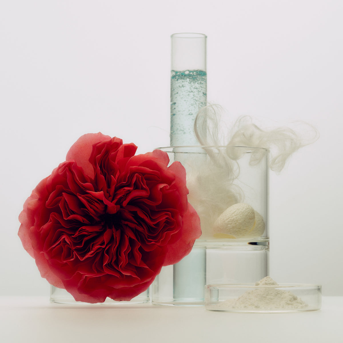 Tatcha Silk Cream ingredients: retinol-alternative rose extract, hydrolyzed silk & squalane, lipid blend