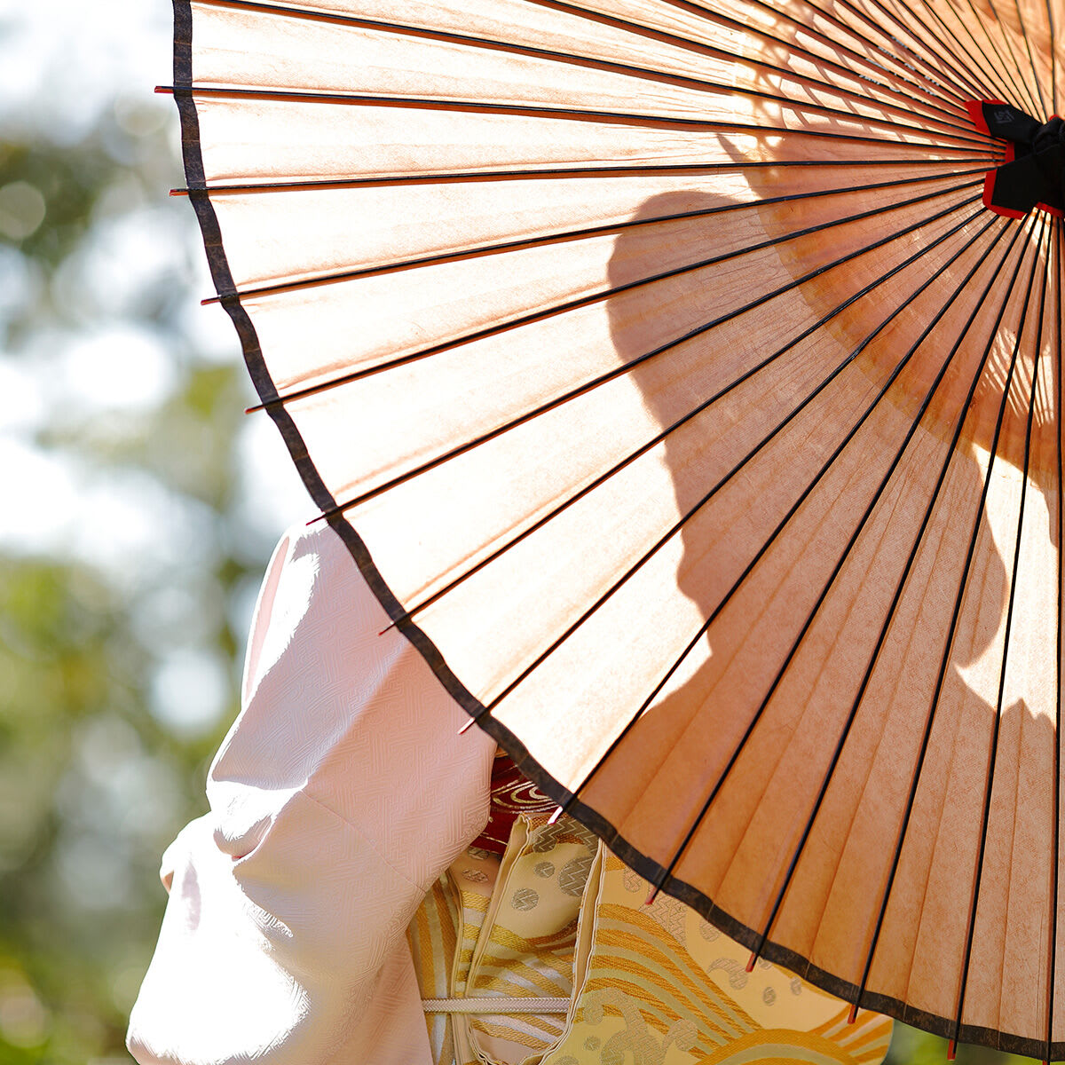 Shot of geisha using a parasol for sun protection.
