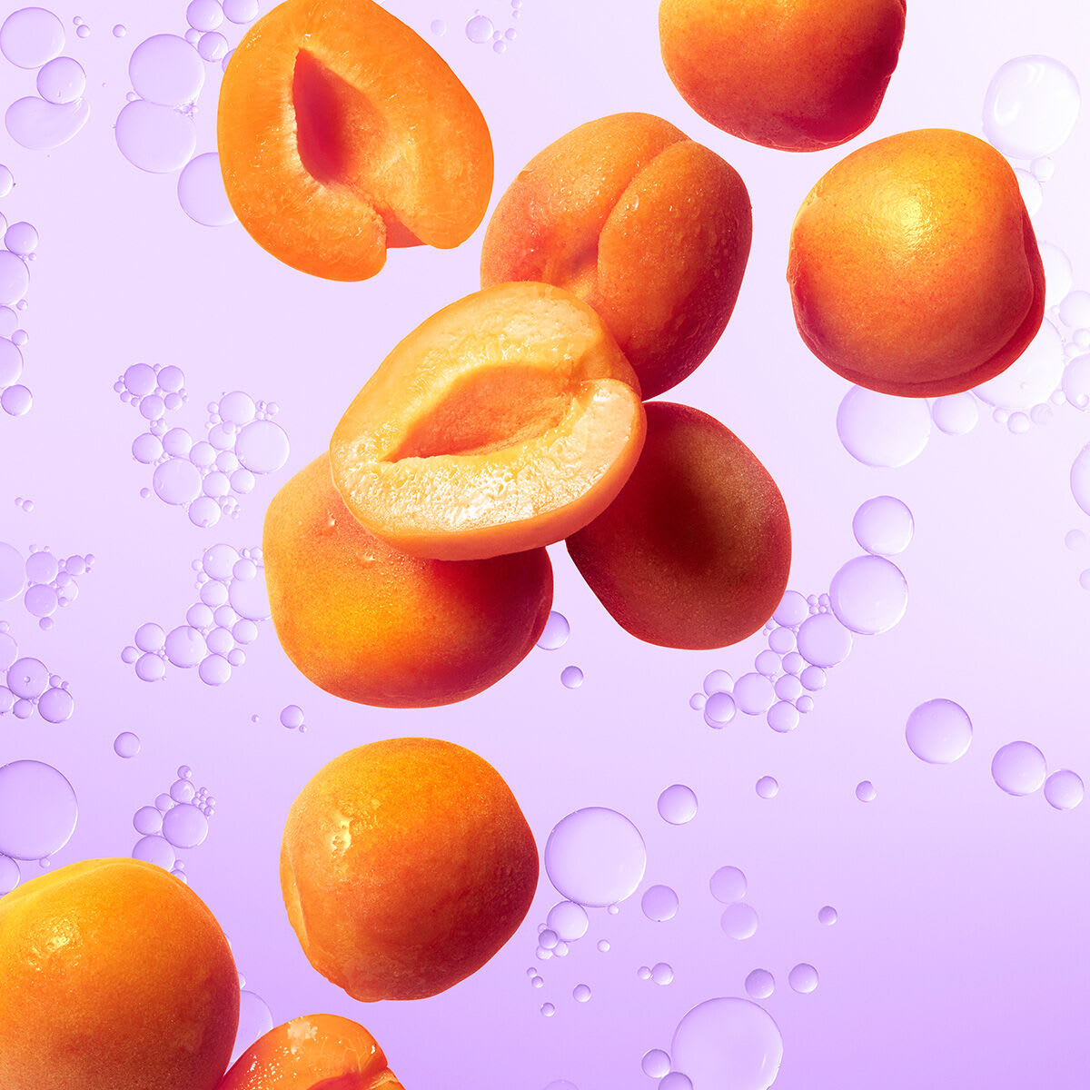 Shot of Japanese Beautyberry.