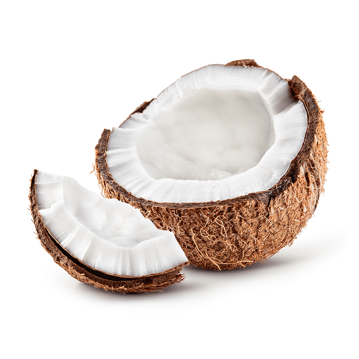 Coconut Biocellulose